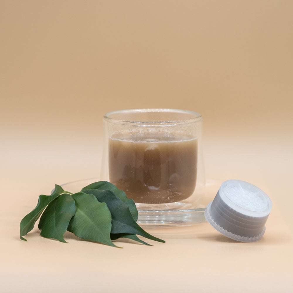 Capsule Ginseng Moca - FAP Espresso Point compatibili - 50pz